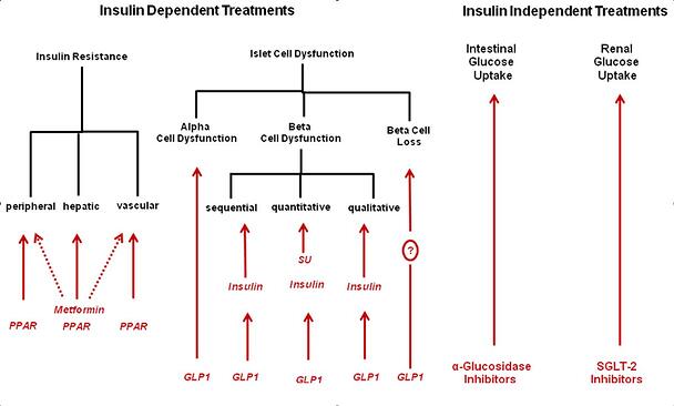Diabetes_treatments