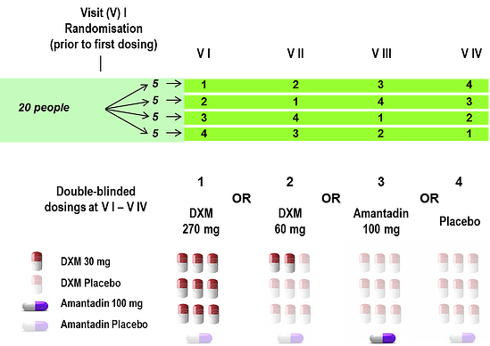 Design of the phase IIa, double-blind, placebo-controlled, randomised, fourfold crossover clinical trial in people with type 2 diabetes performed in the clinical research unit at Profil Neuss.