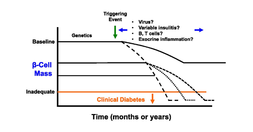 Finally breakthrough in the immunological approach to type 1 diabetes_520x272