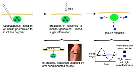 Glucose-Responsive Insulin