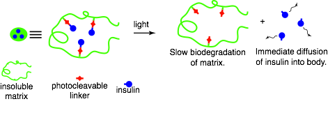 Glucose-Responsive Insulin2