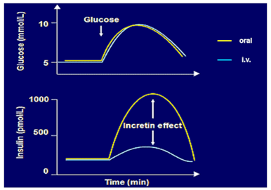 Graph time incretin-effect