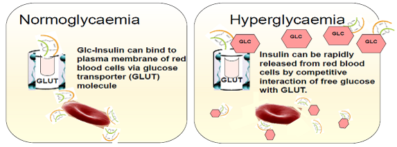 Smart Insulin Patches or Glucose-Responsive Insulin Delivery Systems